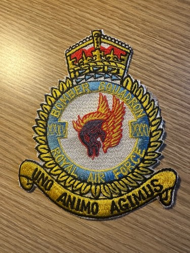 Vintage royal air force raf - vintage,