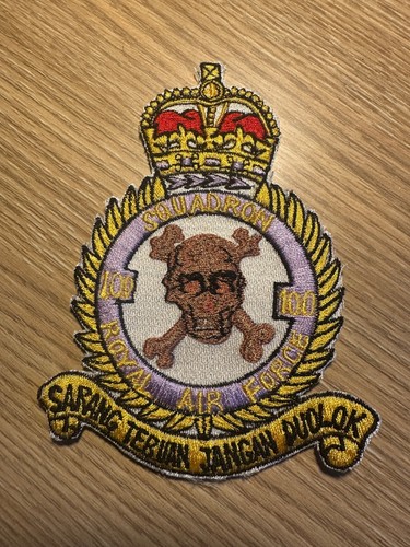 Vintage royal air force raf - vintage,