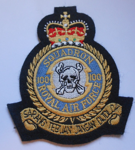 100 raf squadron - 100,